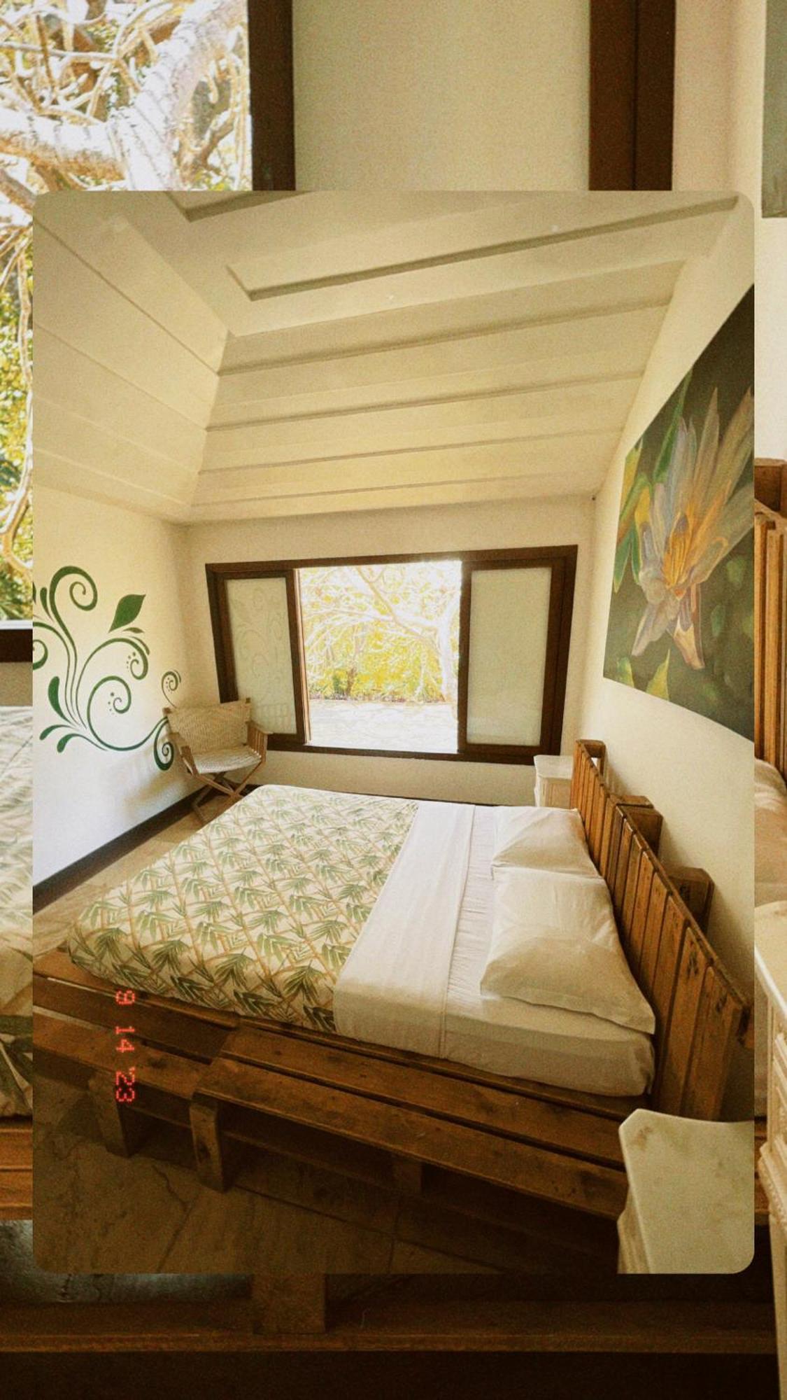 The Eco Palace Hostel Búzios 外观 照片